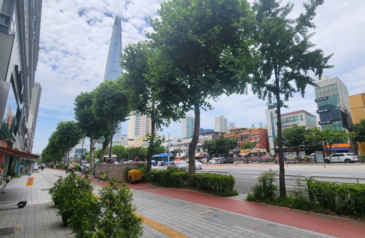 석촌동 184-8 앞 50m 대로 – 가로수 너머로 롯데월드타워가 보이는 대로변