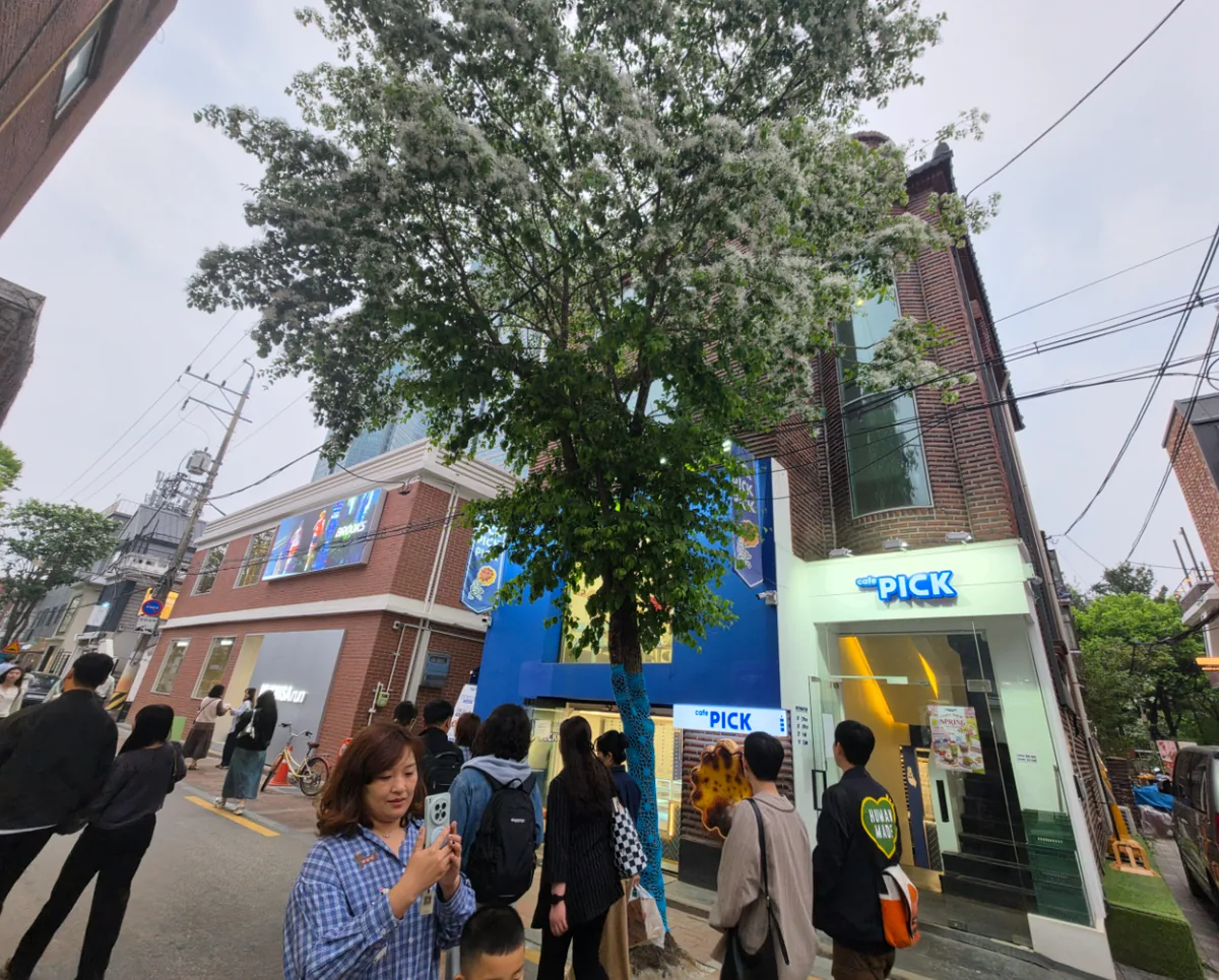 성동구 성수동1가 685-329 아틀리에길 코너 전경 – 큰 나무가 서 있는 붉은 벽돌 3층 건물
