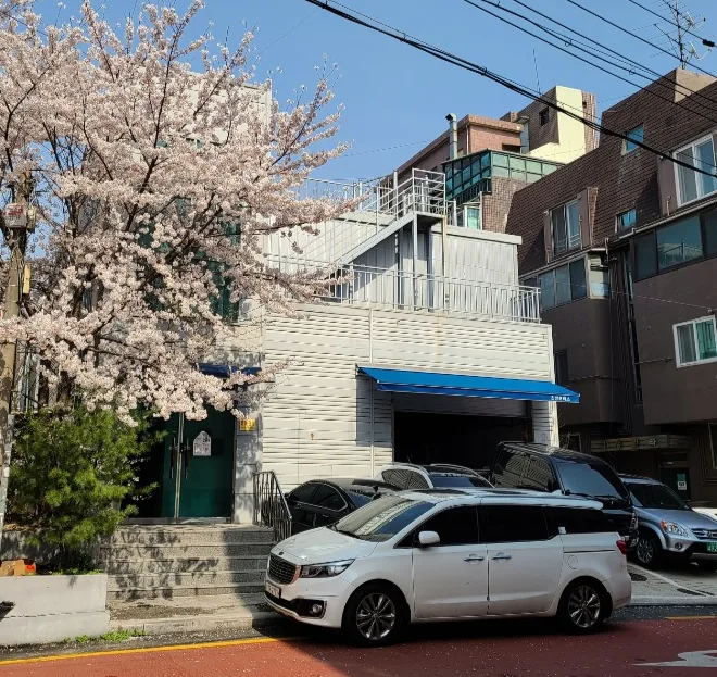 양재동 300-1 건물 측면 – 벚꽃나무 뒤로 보이는 2층 정비소 출입구