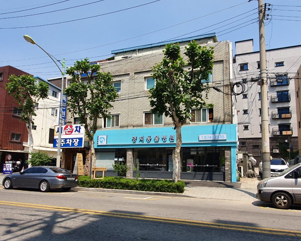 서울특별시 관악구 봉천동 건물